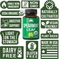thumbnail image 3 of USDA Organic Spearmint Capsules. Organic Vegan Spearmint Leaf Pills for Digestive Support, Ingestion, and More. USA Tested Supplement for Women and Men., 3 of 7