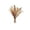 Beige#02, variant on Linnome Faux Pampas Grass Decor 15-17 Inch Dried Bunny Tails for Wedding Boho Table Vase Centerpiece Home