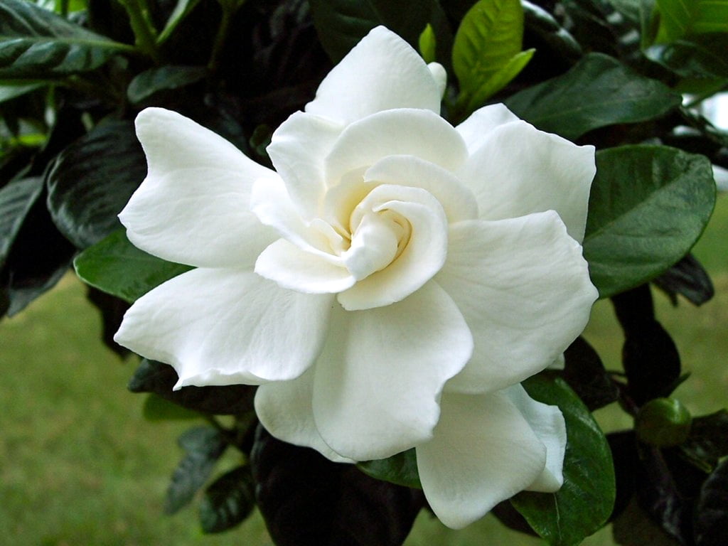 Related image