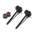 thumbnail image 2 of 2pcs Intake Valve Kit + Valve Stem Seals Set for Honda CRF250R CRF 250 R 2010-2017, 2 of 5