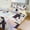 chudan-2, variant on Cute Penguin Bedding Set with Zipper Closure for Girls & Boys