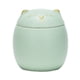 thumbnail image 1 of Kearding Tarro de té de cerámica decorativo de cerámica, aplicación amplia, resistente y duradero, portátil, a prueba de humedad Organizadores de utensilios de cocina verde 150ml, 1 of 6
