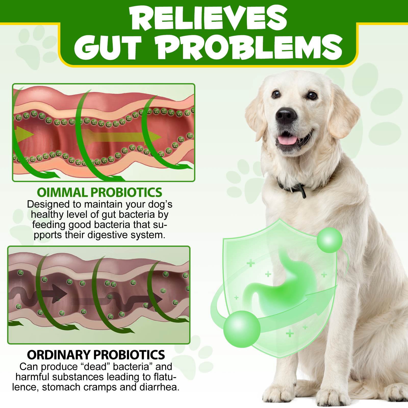 Oimmal Probiotic for Dogs Gut, 12 Strains & Prebiotics + Prebiotics Support for Dogs Digestion, Powder Probiotic for Dogs Digestive Immunity - 120g X 2Pack