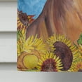 thumbnail image 4 of Carolines Treasures SC9079CHF Drapeau Vizsla Toile - Taille Maison, 4 of 4