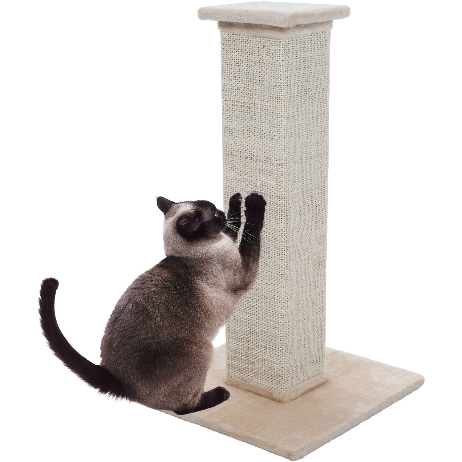17 Cat Tree Small Cat Tower with Sisal & Plush Perch Cat Claw Scratcher for Indoor Large Cats Cat Scratcher with Hanging Toys rabbitgoo Cat Scratch Post Brown Kitten Climbing Pole for Play Rest