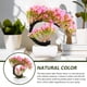thumbnail image 3 of unbranded Decorativo Bonsái Artificial Color Rosa Para De Hogar Y Oficina, 3 of 6