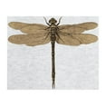 thumbnail image 3 of CafePress - Dragonfly Vintage Long Sleeve T Shirt - Unisex Cotton Long Sleeve T-Shirt, 3 of 4