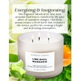 thumbnail image 3 of Lime Basil Mandarin 3-Wick Soy Candle – Fresh Citrus & Herbal Aromatherapy Candle in Gift Box | Clean-Burning Scented Candle for Home, Men & Women, 3 of 7
