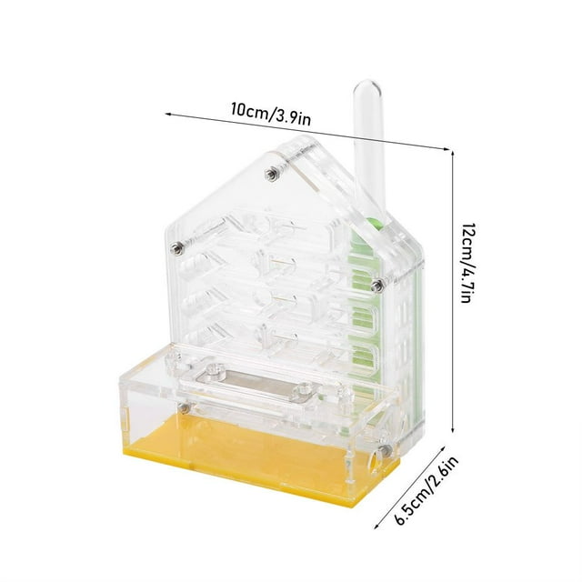 Hffheer Nido de Hormiga El plastico Acrílico Hormiga Granja Villa Casa Hormiga Torre Exhibidor Educativo Formicarium Hábitat para Hormiga Khall Tendencias