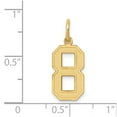thumbnail image 3 of 14K Yellow Gold Charm Pendant Themed 8 20 mm Medium Satin Number, 3 of 3