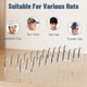 thumbnail image 5 of Organizador de Gorras de Béisbol de Acrílico, 2 Unidades, Multifuncional,, 5 of 5