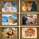 thumbnail image 2 of Pintura de diamante de perro Pug de Color de diamantes de imitación 5D, manualidades de animales de dibujos animados DIY, costura de resina, punto de cruz de cristal tholdsy JJ12408-00, 2 of 6