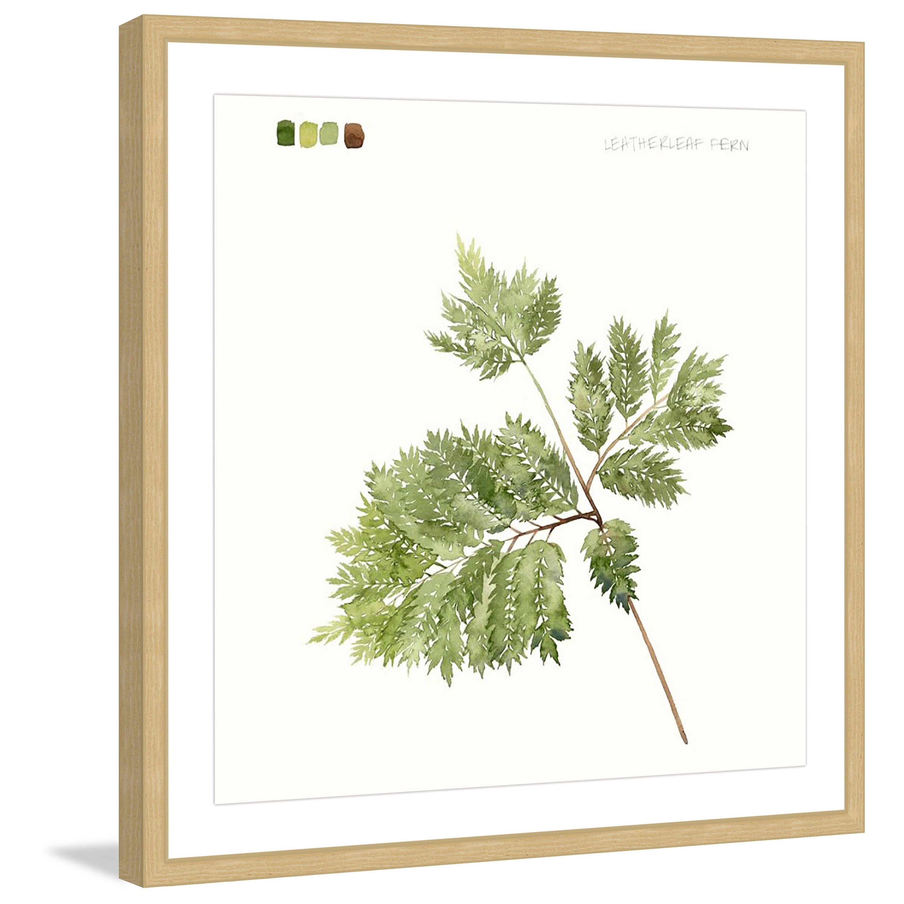 Marmont Hill "Leaf Study II" Framed Painting Print
