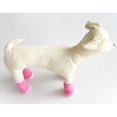 thumbnail image 4 of Calcetines de Tejido Mascotas Accesorios Pero Gato Calientes Transpirables Impermeable Calientes - 1, L 001 - L Salvador Calcetines a prueba de agua del animal doméstico, 4 of 10