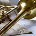 thumbnail image 3 of Shisuyan Trombone Water Key Spit Valve Spring Trombone Replacement Spring Alto Horn Accessory, 3 of 9