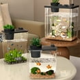 thumbnail image 4 of ACDANC Fish Tank Aquarium Starter Kit, Mini Desktop Rectangular Fish Tank With Pump, LED Light, Simulated Water Plants, Fish Bowl Tabletop Decoration For Shrimp Small Fish, 4 of 5
