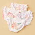 thumbnail image 2 of newwalpole Girls Cotton Underwear Soft Boy Shorts Kids Boxer Briefs Panties(Pack of 4) White for Size M, 2 of 5