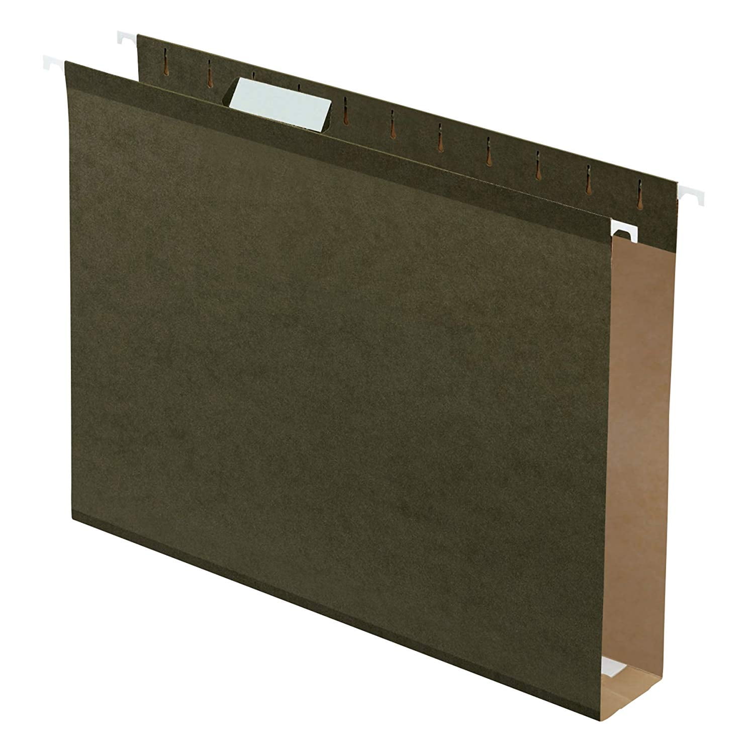 Extra Capacity Reinforced Hanging File Folders 2 Letter Size 