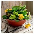 thumbnail image 3 of Exlonjet 15.5 Inch Garden Bowl Planter - Shallow Plant Pot with Drainage Plug for Indoor Outdoor Flowers, , Black, 3 of 5