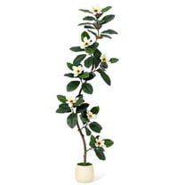 Towallmark 6FT Artificial Rubber Tree with Magnolia Flowers, Faux Tree with White Planter and Moss Decor, Indoor Outdoor Potted Plant for Living Room Porch Home Decor