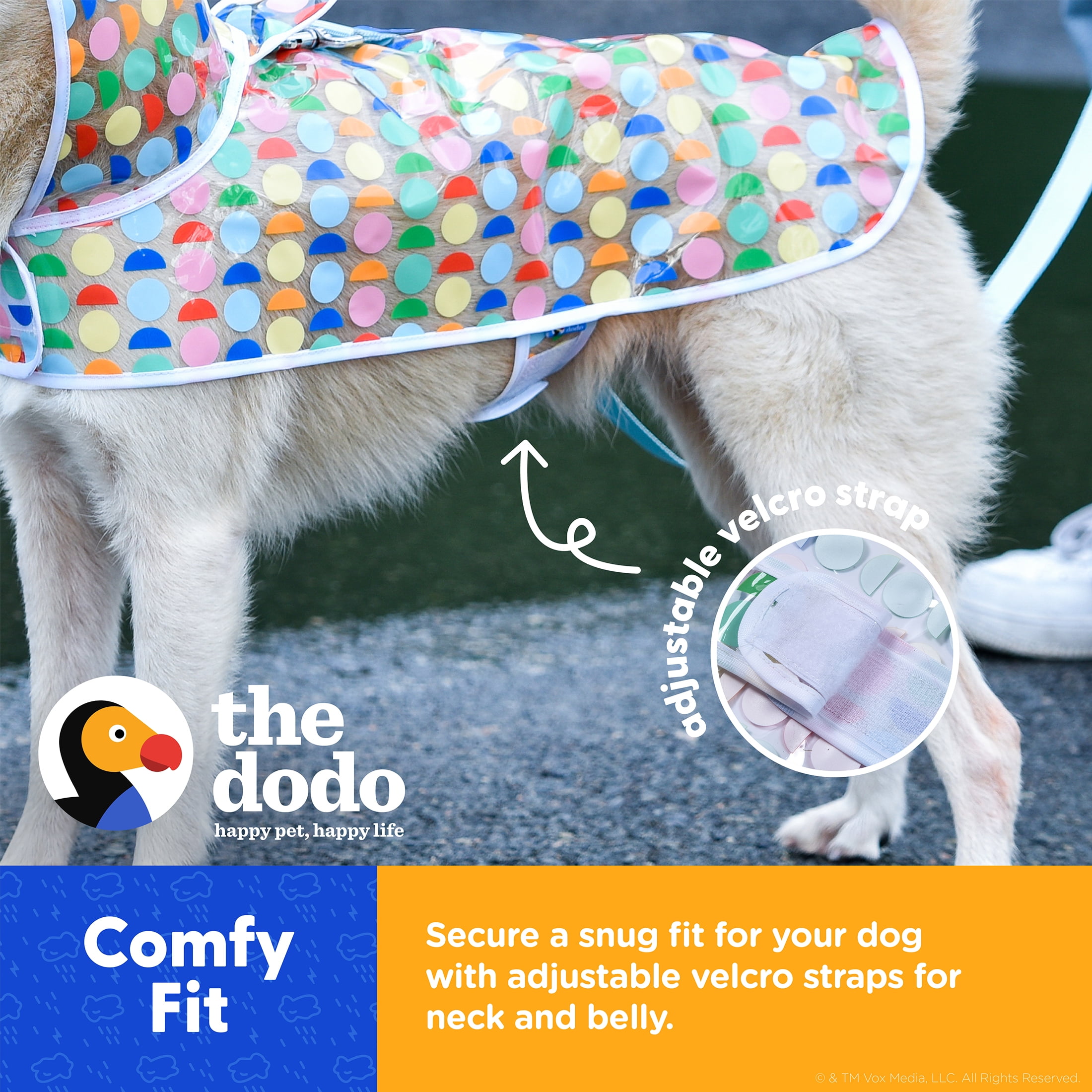 The Best Dog Life Jackets To Keep Your Dog Safe - DodoWell - The Dodo