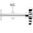 thumbnail image 4 of Body Candy 16G 316L Stainless Steel Ornate Dragonfly Aurora Labret LipRing Tragus 8mm, 4 of 7