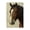 Elegant Brown Horse Portrait, variant on Stupell Industries Victorian Hound & Horse Companions Black Framed Print Under Glass, 14 x 20, by Petals Prints Design