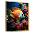 thumbnail image 2 of Designart "Stunning Azure And Tangerine Butterflyfish" Coastal Coral Under Water Floater Framed Wall Decor, 2 of 5