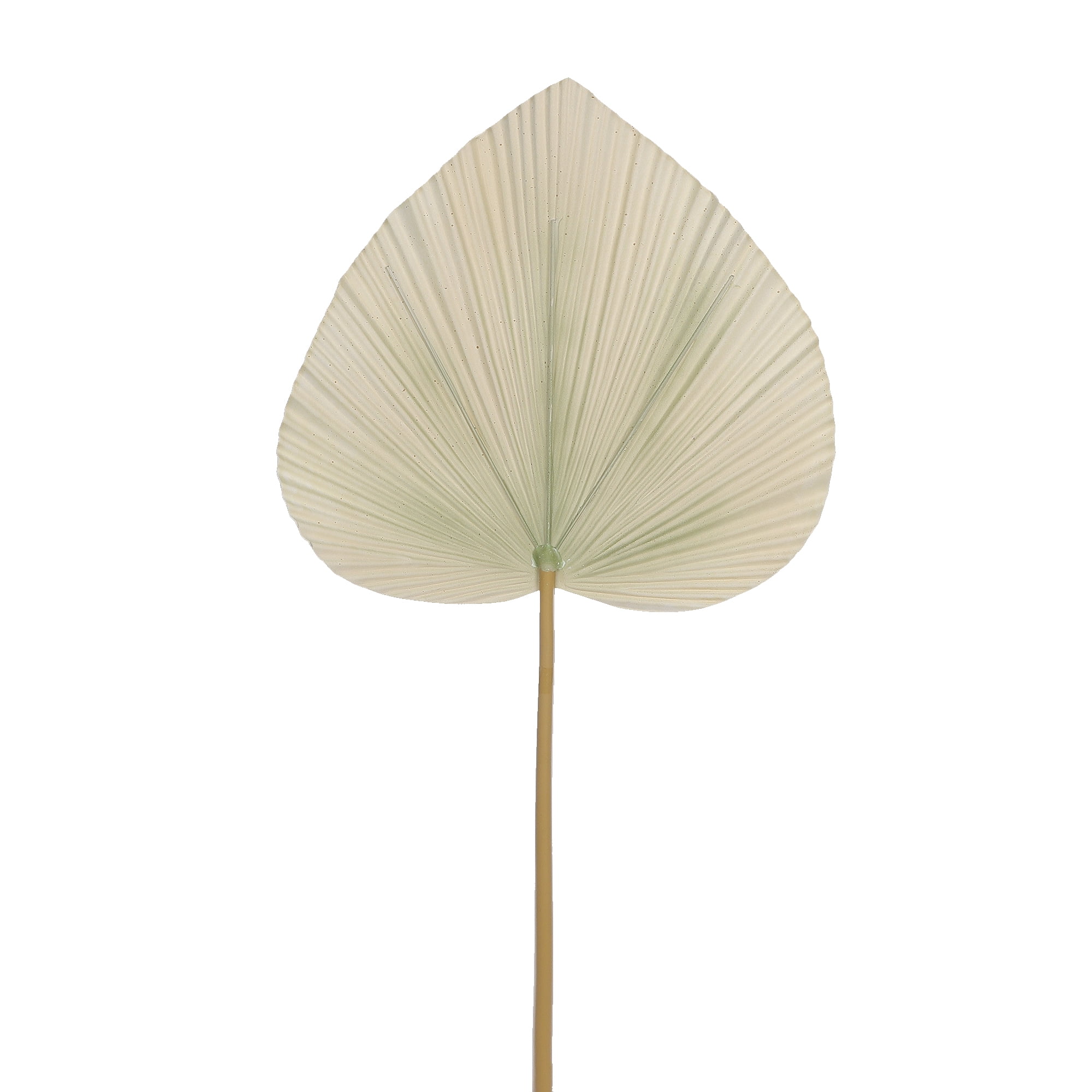 (2 pack) Mainstays 26 inch Artificial Natural Fan Palm Leaf Stem  - Everyday / Greenery / Artificial Plant / For Vase