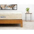 thumbnail image 4 of NSC Medical Hybrid Articulating System Twin Mattress, 4 of 5