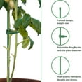 thumbnail image 3 of Injueey Protección vegetal eficaz y ecológica con estacas resistentes para plantas altas, almacenamiento cómodo y sencillo Jardín y Patio Verde 16 pulgadas/40 cm 6 juegos, 3 of 6