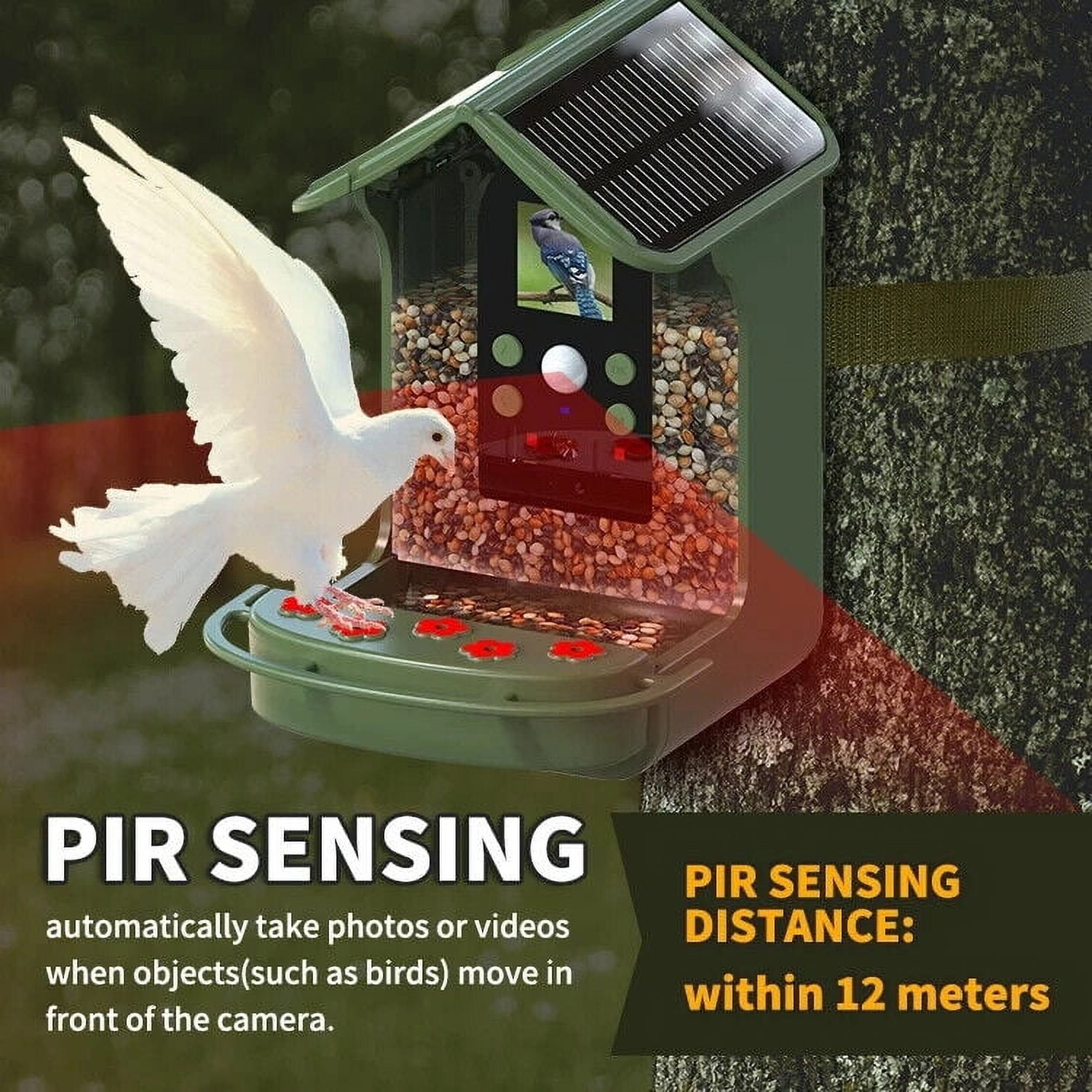 Dash ES-50W Smart Solar Bird Feeder with 1080p FHD Camera, Green