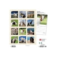 thumbnail image 2 of Goats | 2024 12x24" (Hanging) Monthly Square Wall Calendar | BrownTrout, 2 of 8