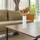 thumbnail image 4 of Artificial Flowers, Dry Flowers, Flower Vase Decorations, Home Decoration, Elegant 2-Tier Metal Frame Vase, Modern Style, for Living Room, Artificial Flowers, Dry Flowers, Long-Tail, 4 of 7