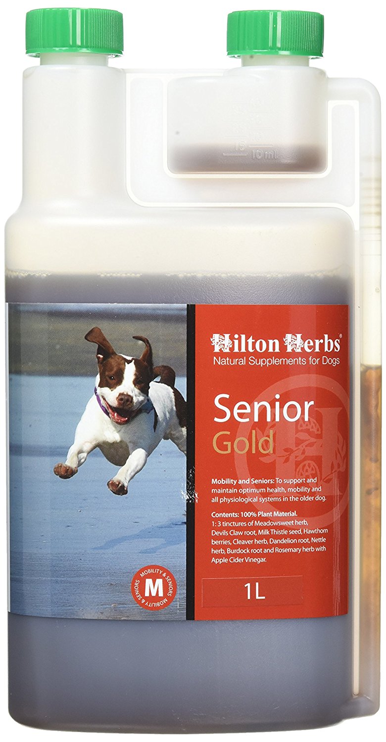Senior Dog Gold Herbal Supplement for Older Dogs 0.5pt ( 250ml) Bottle
