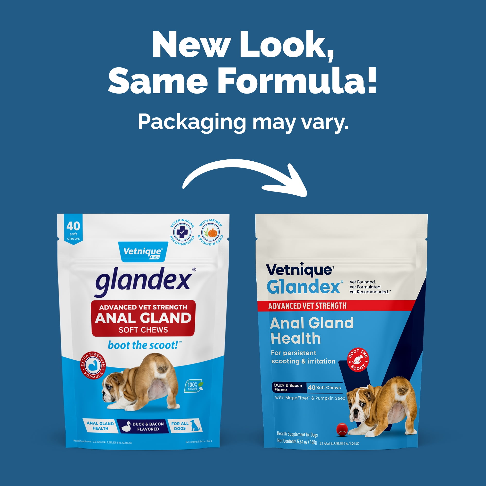 (5 pack) Vetnique Labs Glandex Advanced Vet Strength Digestive Health Soft Chews for Dogs, Duck and Bacon Flavored, 40 Count