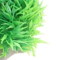 thumbnail image 3 of ADDHAT 6Ud Decorativas Artificiales Para Acuario Natural Y Duradero Color, 3 of 6