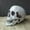 As the pictures shown, variant on Halloween Artificial Skull Head Model Skull Bone Scary Horror Skeleton Ornament