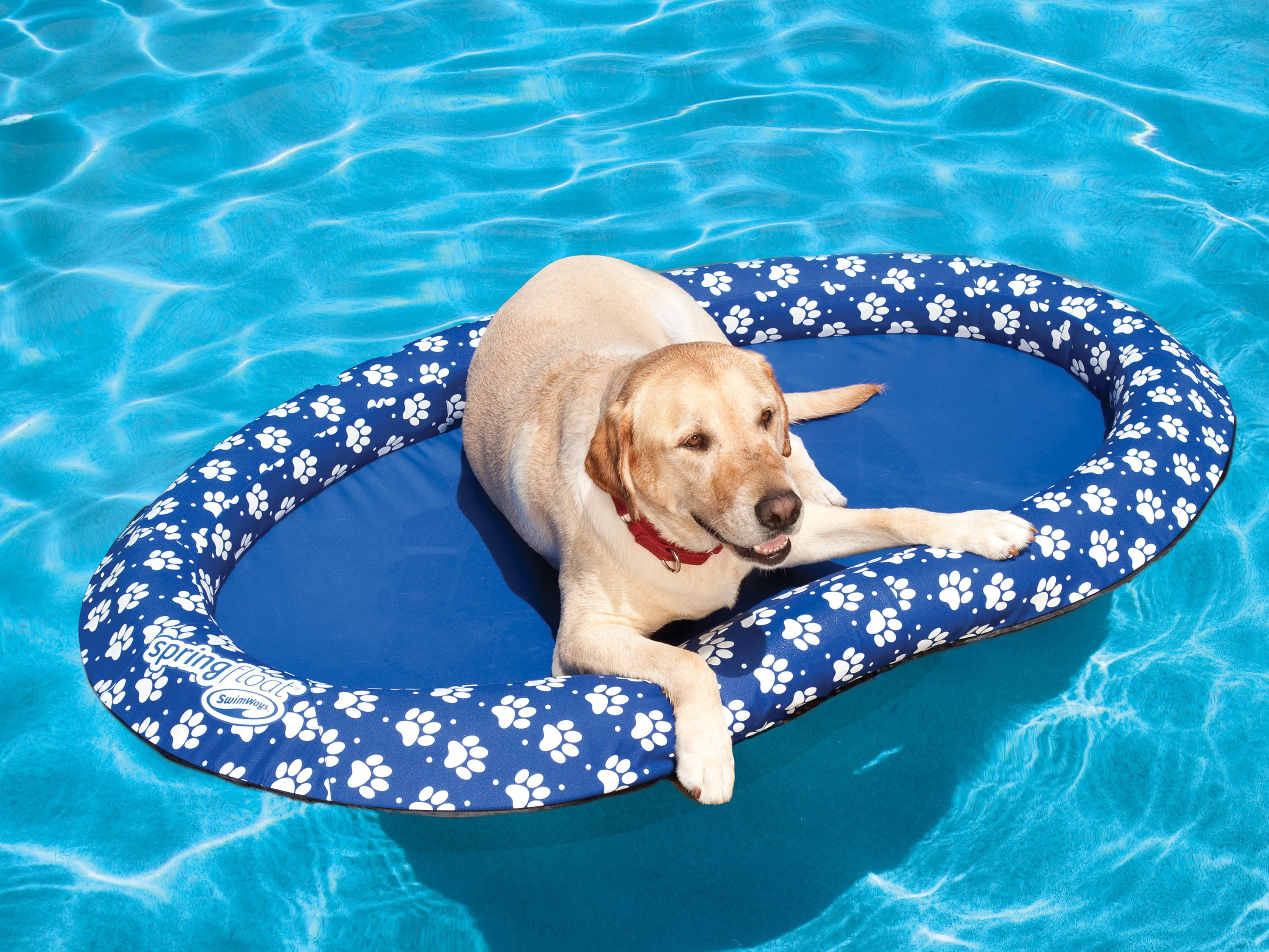 swimways dog float