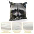 thumbnail image 4 of COMIO  Cute Raccoon with Firm Eyes Throw Pillow Covers Natural Forest Wild Animal Art Design Square Pillowcases for Home Decor Sofa Car Bedroom Pillow case, 4 of 5