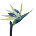 thumbnail image 2 of Limei Artificial Bird of Paradise Flowers Rubber Strelitzia 24.8" Long Stem Flower, Suitable for DIY Home Decor Party Theme Display, 2 of 7