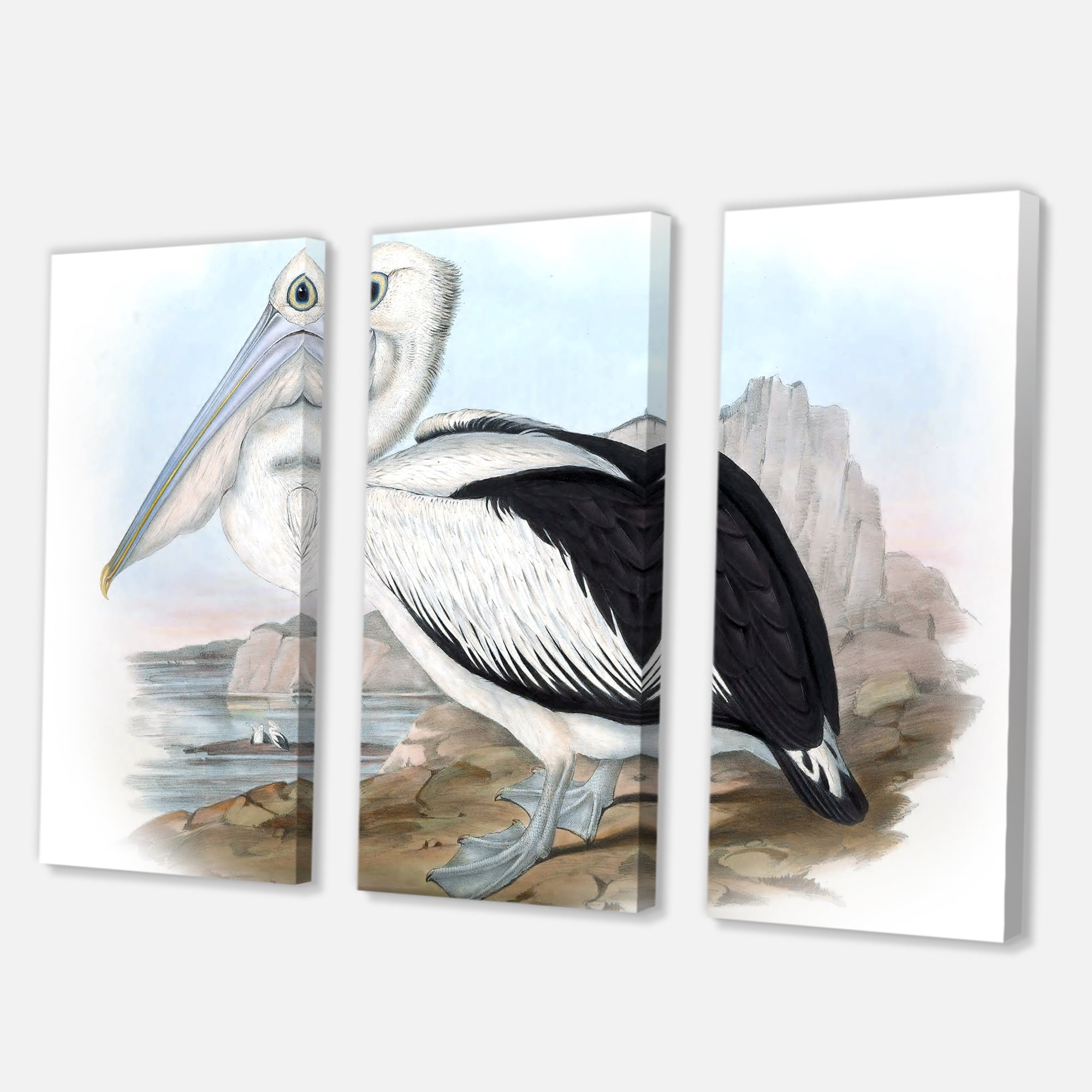 Designart ' Ancient Australian Birds VIII ' Traditional Canvas Wall Art Print