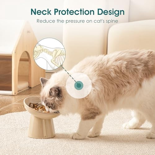Ceramic Slow Feeder Cat Bowl, 6.25 Inch Elevated Cat Slow Feeder Bowl, Anti Vomiting for Dry and Wet Food, Brown