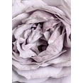 thumbnail image 2 of Design Fabrikken 14x18 White Modern Wood Framed Museum Art Print Titled - Rose Heart, 2 of 4