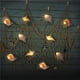 thumbnail image 3 of Cateissary Luces de cadena de concha de mar de plástico Decoración versátil para cualquier ocasión Fácil de instalar Ampliamente utilizado Iluminación y accesorios, 3 of 6