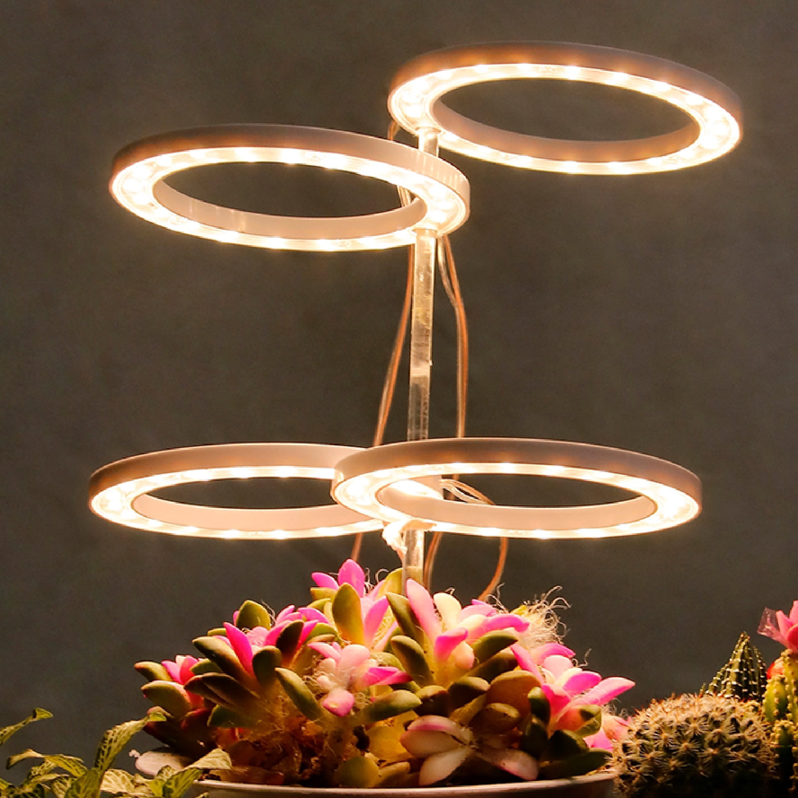grow ring light