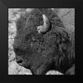 thumbnail image 2 of Phillip, Jamie 15x15 Black Modern Framed Museum Art Print Titled - Buffalo Baby 2, 2 of 5