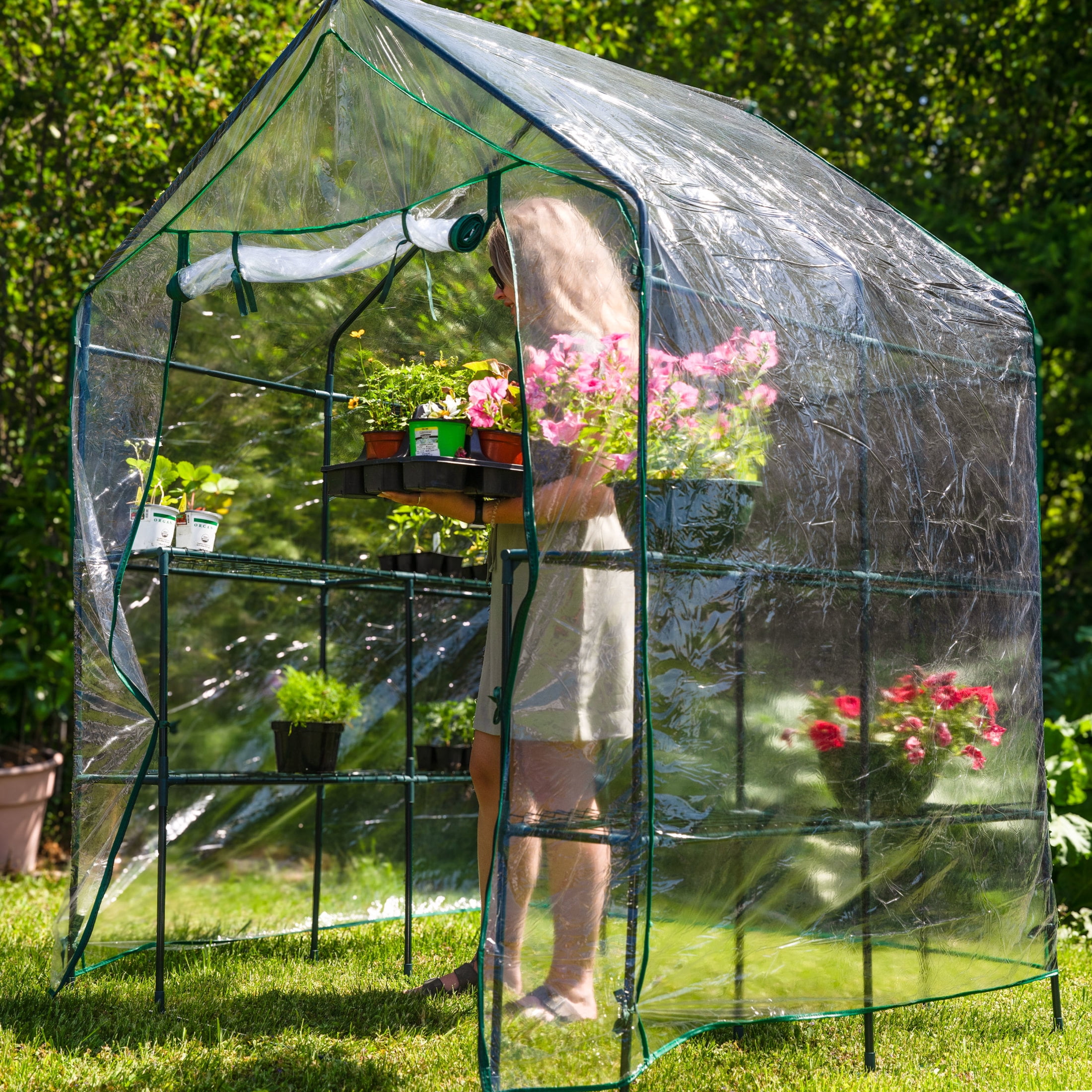 Sunnydaze 4.5' x 4.5' x 6.5' Outdoor Portable Walk-In Greenhouse with 4 Shelves, Clear Cover