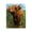 Mini Highland Cow Calf, variant on Stupell Industries Farmhouse Mini Highland Cow on Neutrals Canvas Art, 16 x 20, by Renel Peters