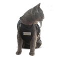 thumbnail image 2 of Bolsa de aseo para gatos Cinf, sujeción antirrasguños, negra, talla S, 2 of 8